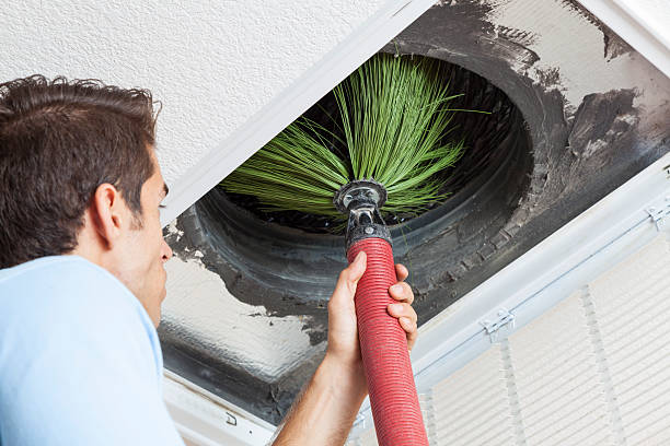 Best Air Duct Sanitizing Services  in Covedale, OH